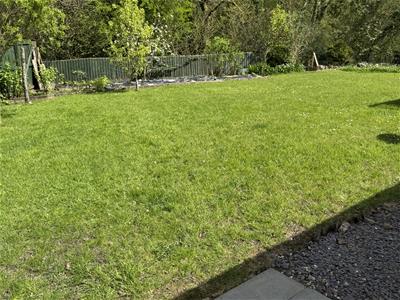 Picture 27